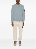 Load image into Gallery viewer, STONE ISLAND 8115553C2V0066GREY GREEN
