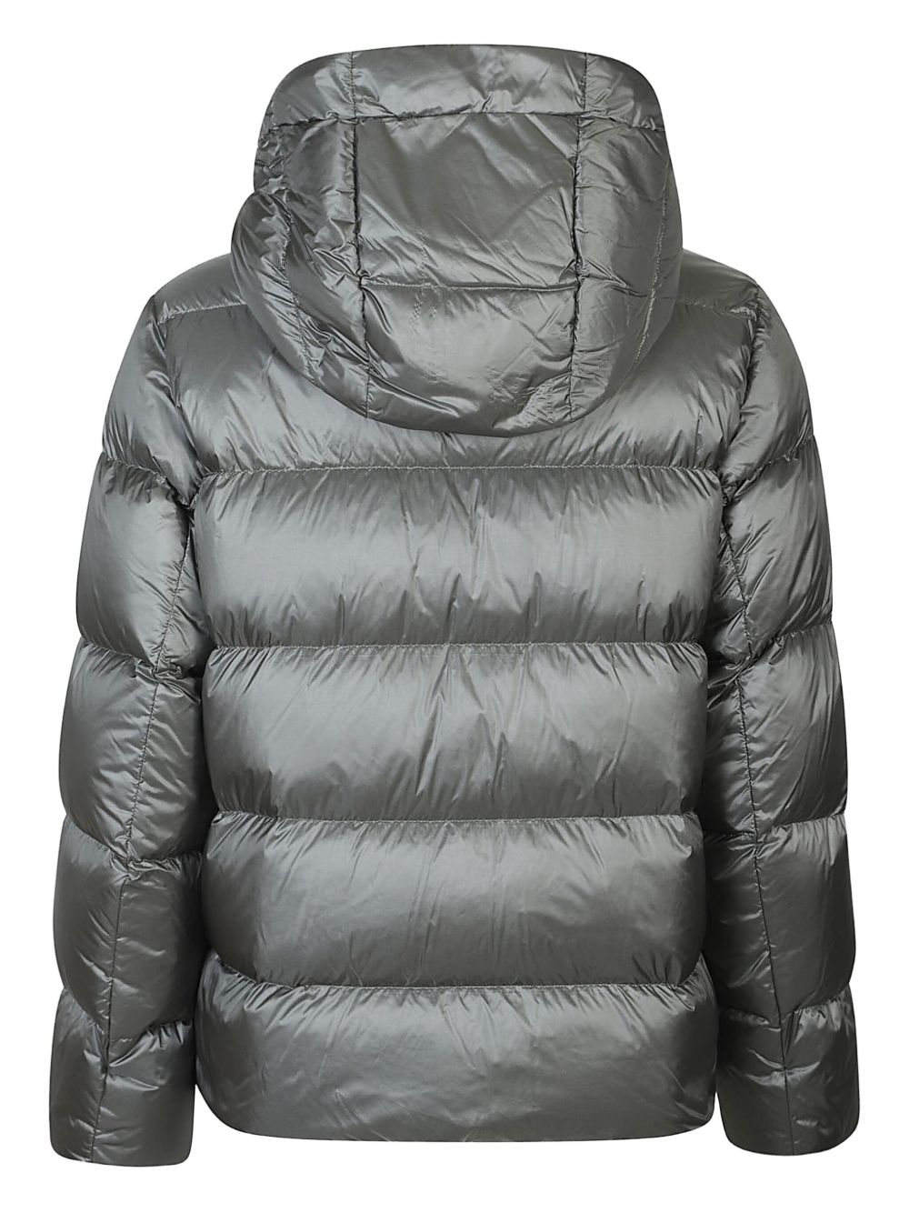 ADD 12AMH511*4310CLIMBING IVY