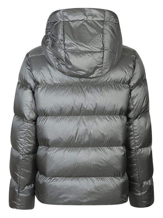 ADD 12AMH511*4310CLIMBING IVY