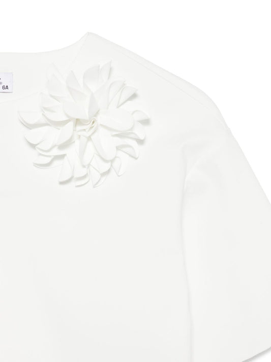 IL GUFO P25VM783N0074100