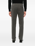 Load image into Gallery viewer, MORELLO ELAXTS1620XDK GREY BERWICH
