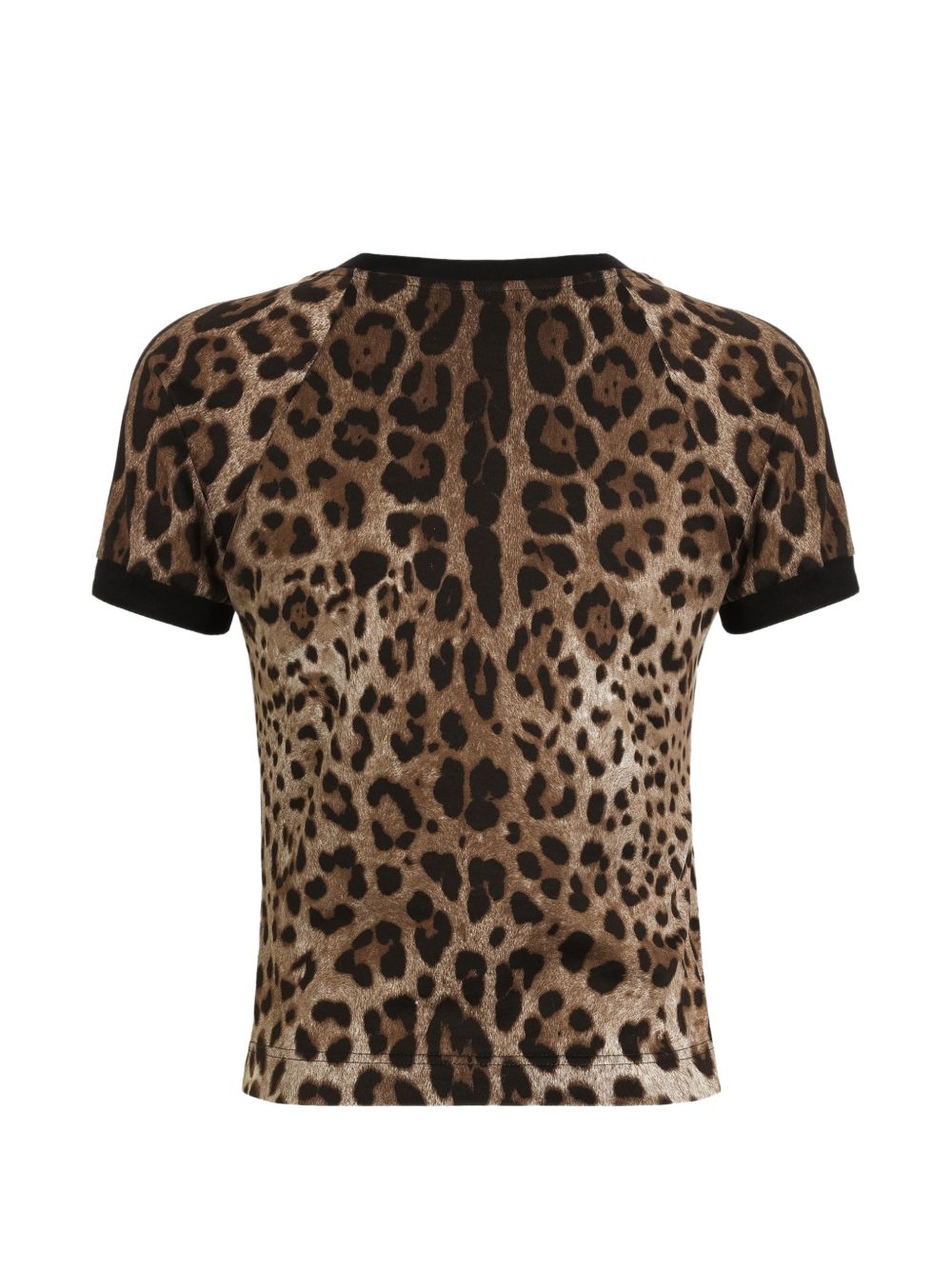 F8V88TFS78SHY13M DOLCE & GABBANA