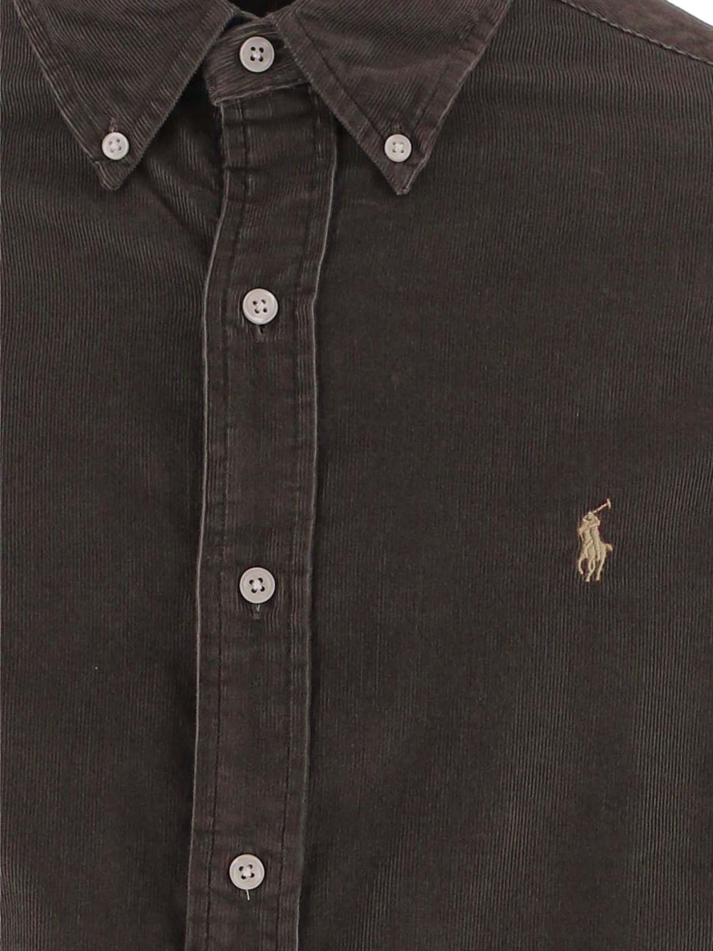 710853123503NUTMEG BRWN POLO RALPH LAUREN
