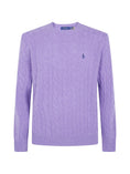 Load image into Gallery viewer, 710876762502LIGHT CORONET PURPLE POLO RALPH LAUREN
