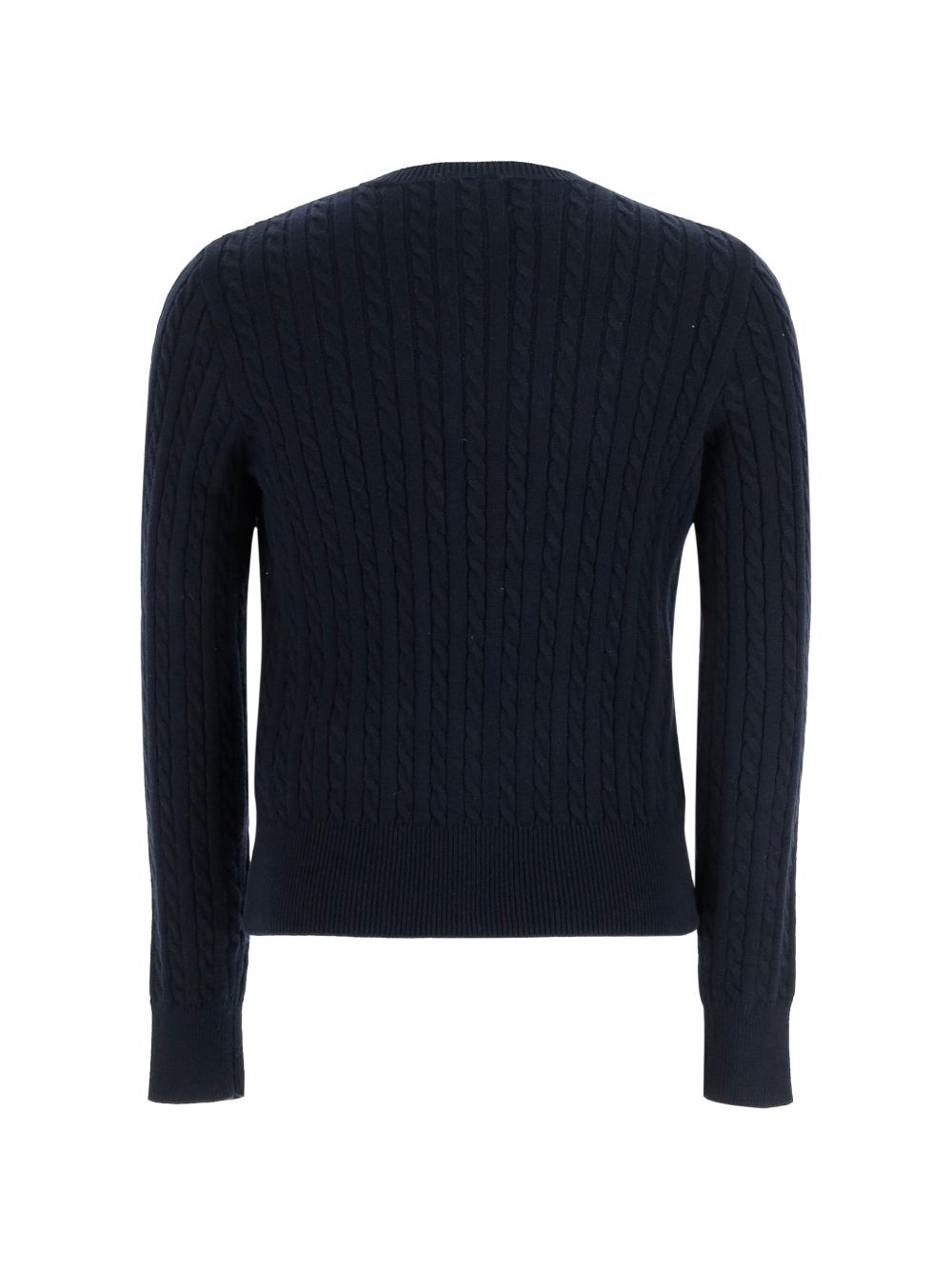 313543047011HUNTER NAVY POLO RALPH LAUREN KIDS