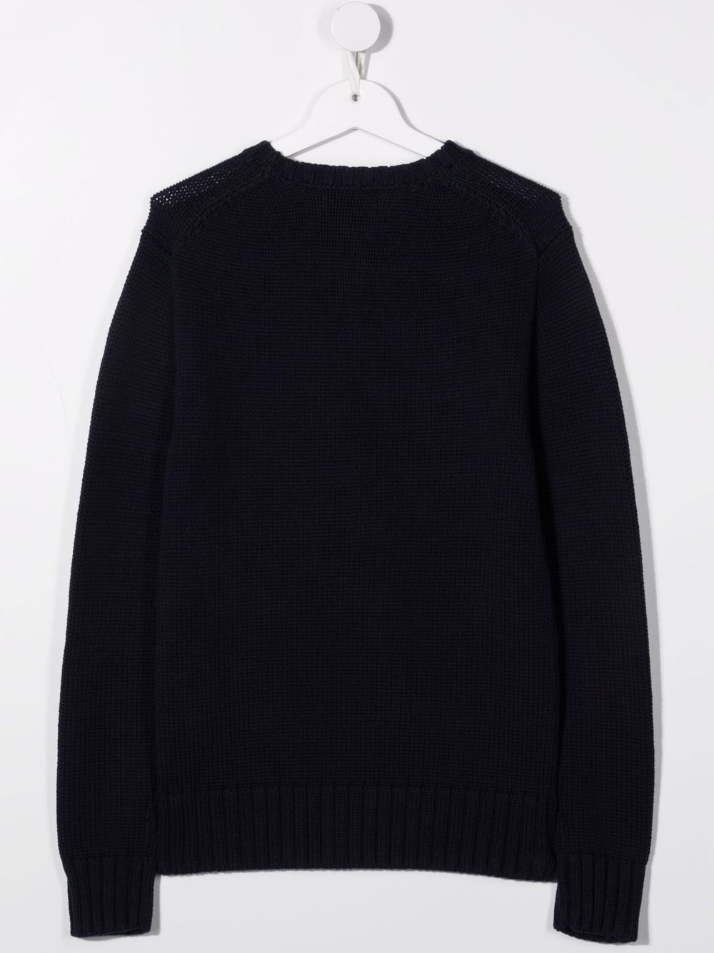 323668285001HUNTER NAVY POLO RALPH LAUREN KIDS
