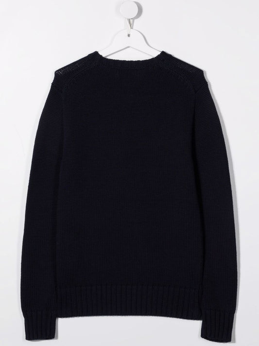 323668285001HUNTER NAVY POLO RALPH LAUREN KIDS