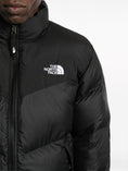 Carica l'immagine nel visualizzatore della galleria, NF0A853IJK31TNF BLACK THE NORTH FACE
