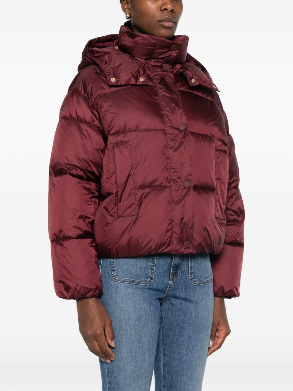 262TT238000020BORDEAUX TWINSET