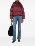 Load image into Gallery viewer, 262TT238000020BORDEAUX TWINSET
