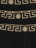 Load image into Gallery viewer, AU103261A18907A80G VERSACE
