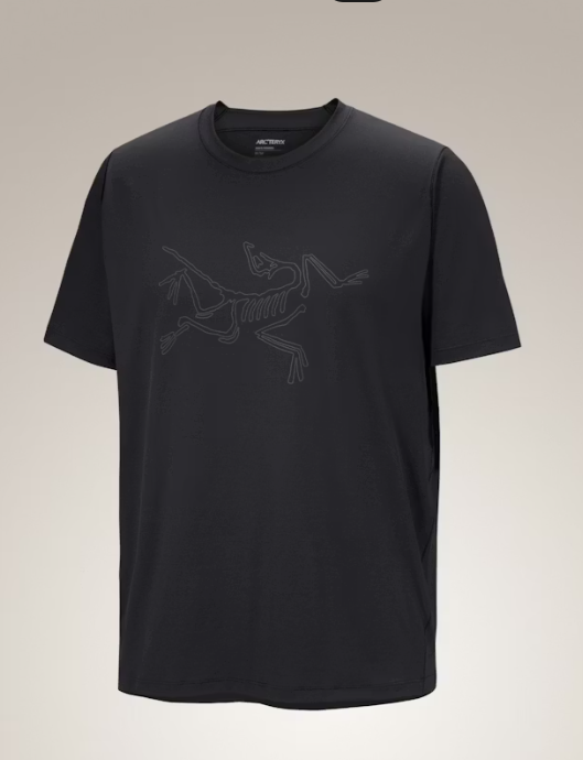 X000010293BLACK ARC TERYX