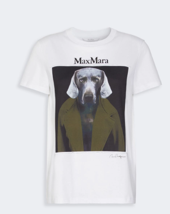 2621946071600MXMCALCA010 MAX MARA
